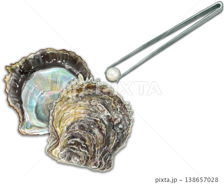 真珠取り出し体験_真珠貝から真珠をピンセットで摘み出す 138657028