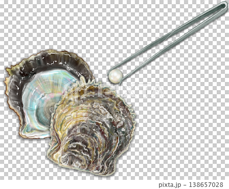 真珠取り出し体験_真珠貝から真珠をピンセットで摘み出す 138657028