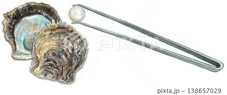 真珠取り出し体験_真珠貝とピンセット 138657029