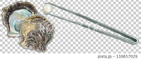 真珠取り出し体験_真珠貝とピンセット 138657029