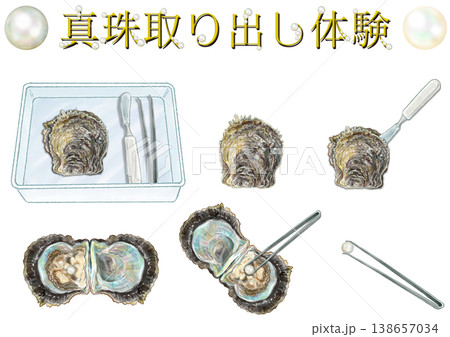 真珠取り出し体験_セット 真珠取り出し体験_セット 138657034