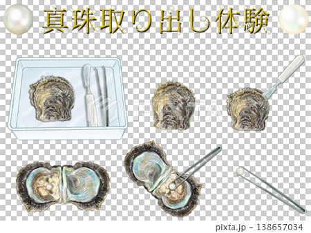 Pearl Extraction Experience Set Pearl Extraction Experience Set 138657034