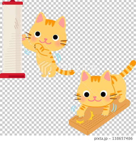 一隻貓正在使用麻繩抓柱和紙板抓柱。 138657486