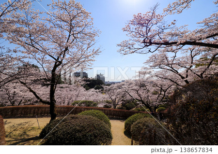 栃木県宇都宮市の八幡山公園 栃木県宇都宮市の八幡山公園 138657834