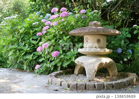 アジサイが彩りを添える情緒豊かな日本庭園の風景 アジサイが彩りを添える情緒豊かな日本庭園の風景 138658689