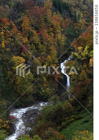 紅葉した錦秋の山肌を滑り落ちる滝(山形県 鶴岡市 落ち口の滝) 紅葉した錦秋の山肌を滑り落ちる滝(山形県 鶴岡市 落ち口の滝) 138658858