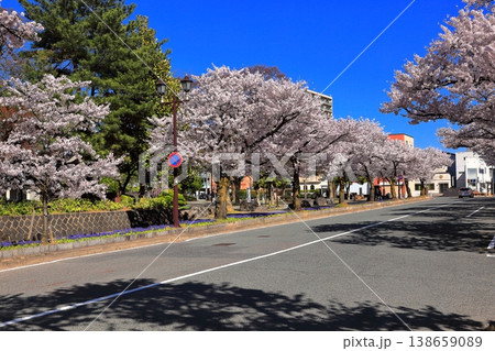 青空と桜 霞城公園 大手町通り 青空と桜 霞城公園 大手町通り 138659089