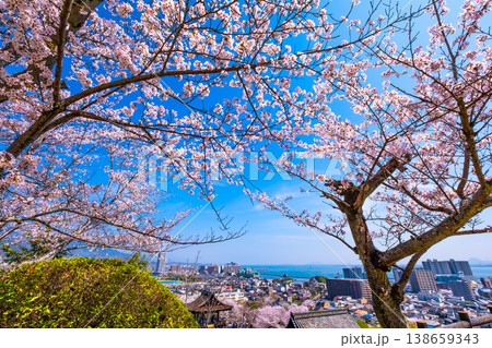 三井寺の桜と眺望 三井寺の桜と眺望 138659343