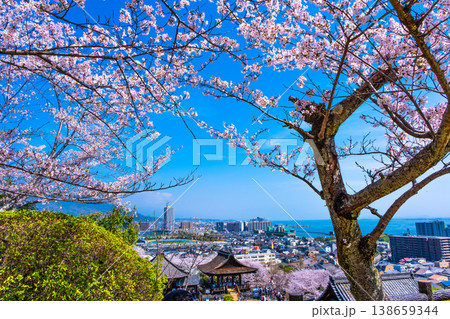 三井寺の桜と眺望 三井寺の桜と眺望 138659344