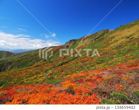 神の絨毯、圧巻の栗駒山 138659482