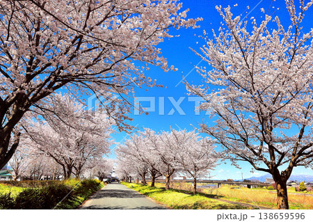 公園の青空と桜 138659596