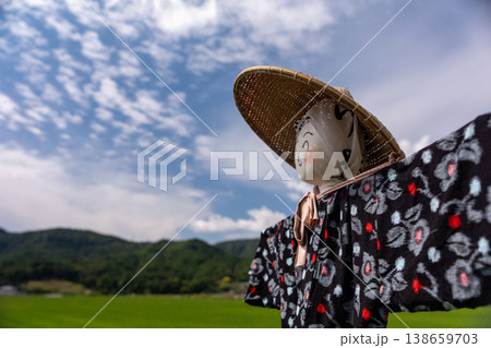 稲刈りの終わった田圃に残された案山子 稲刈りの終わった田圃に残された案山子 138659703
