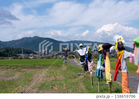 稲刈りの終わった田圃に残された案山子 稲刈りの終わった田圃に残された案山子 138659706