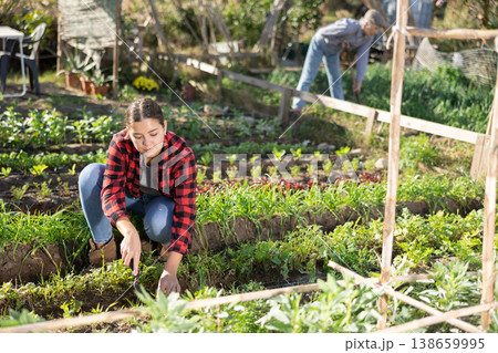 Farmer woman using chopper to harvest weeds on field 138659995