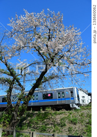 小田急3000形と散り際の桜 小田急3000形と散り際の桜 138660062