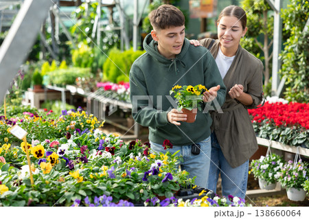 Young guy and girl chooses viola wittrockiana flower in flower shop 138660064