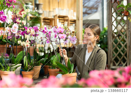 Young woman choosing orchids in flower shop 138660117