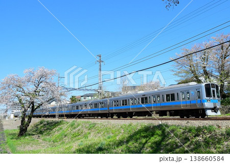 小田急2000形2051Fと散り際の桜 小田急2000形2051Fと散り際の桜 138660584