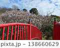 朱の冠橋から見上げる梅の里(山口県光市) 138660629