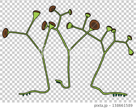 Pop art illustrations by Cooksonia Pertoni 138661589