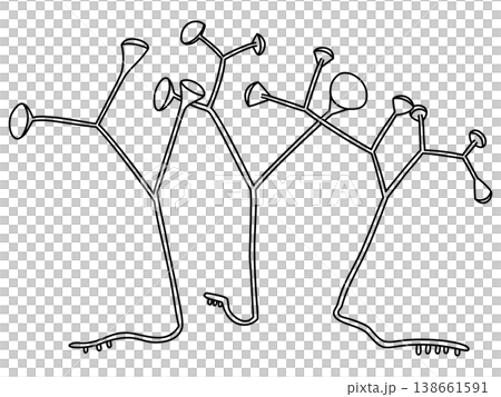 Pop art illustrations by Cooksonia Pertoni 138661591