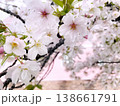 ファンタジックなピンクの家と桜のある風景 138661791
