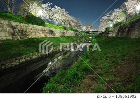 夜桜満開の山崎川 夜桜満開の山崎川 138661902