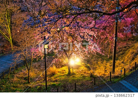 世界遺産の吉野山の千本桜 138662317