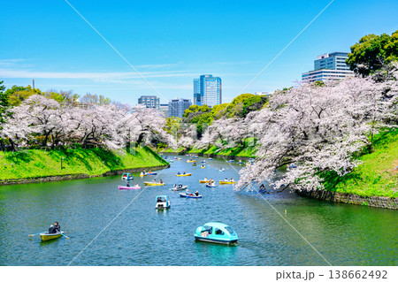 東京都　千鳥ヶ淵　ボート場　満開の桜　令和8年 138662492