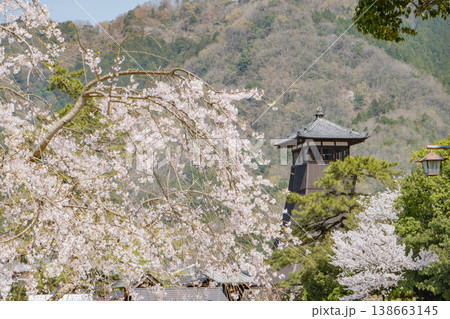 豊岡市出石町のシンボル辰鼓楼と満開の桜 138663145