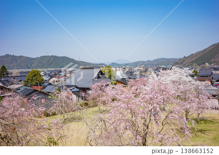 兵庫県豊岡市・桜が満開の出石城跡から出石町内を望む 138663152