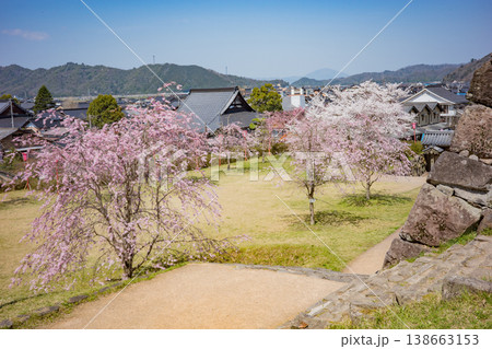 兵庫県豊岡市・桜が満開の出石城跡から出石町内を望む 138663153