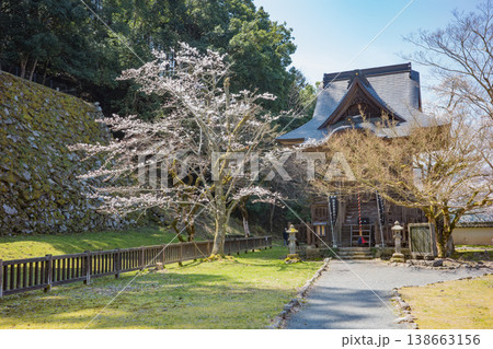 兵庫県豊岡市・桜が満開の出石城跡 138663156