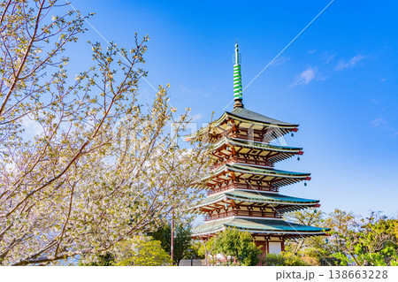 （静岡県）香貫山・香陵台、満開の桜に覆われた慰霊平和塔 138663228