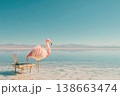 Pink Flamingo Standing by Shallow Lagoon with Laptop on Wooden Desk Setup 138663474
