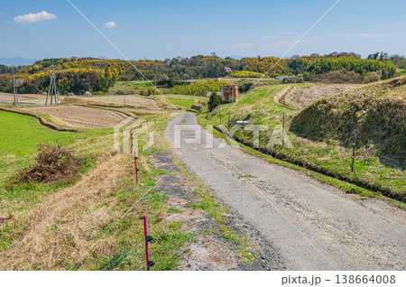滋賀県大津市仰木の棚田風景 138664008