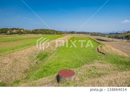 滋賀県大津市仰木の棚田風景 滋賀県大津市仰木の棚田風景 138664014