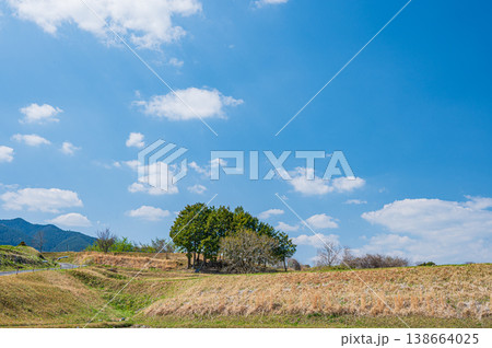 滋賀県大津市仰木の棚田風景 滋賀県大津市仰木の棚田風景 138664025