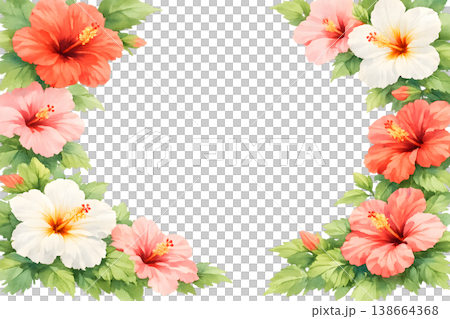 華やかなハイビスカスの花のフレーム 138664368