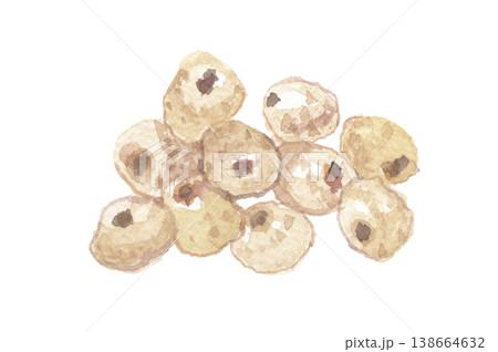 水彩で描いたタイガーナッツ 138664632