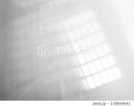 Shadow Background Abstract Leave Overlay Wall Floor Light Effect White Plant Sunlight Backdrop Mockup Minimal Spring Summer Nature Grey blur Photography Scene Template Poster Card Frame Product. 138664641
