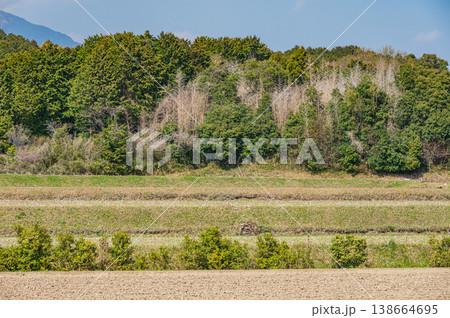 滋賀県大津市仰木の棚田風景 138664695