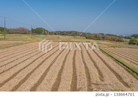 滋賀県大津市仰木の棚田風景 滋賀県大津市仰木の棚田風景 138664701