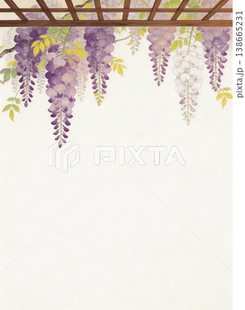 優雅に垂れ下がる藤の花と木製棚の和風イラスト背景 138665231