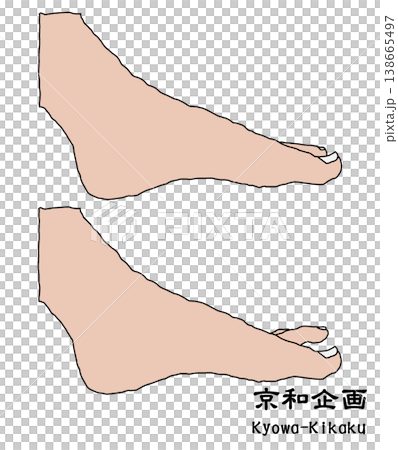 leg leg 138665497