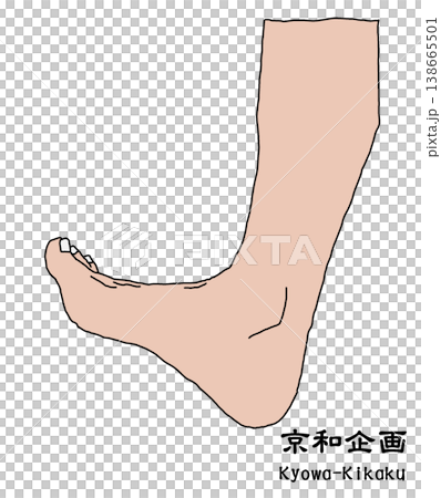 leg leg 138665501