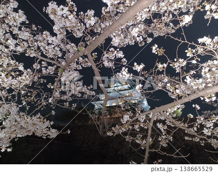 満開のソメイヨシノの背景に夜の大阪城 138665529