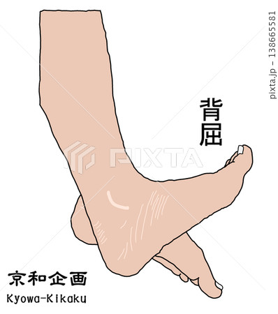 下垂足 138665581