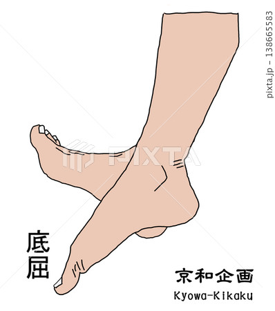 下垂足 138665583