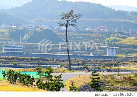 高田松原津波復興祈念公園と道の駅高田松原 138665626